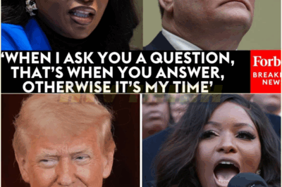 ‘I Haven’t Asked You A Question’: Jasmine Crockett Shuts Down Tony Bobulinski After Outburst