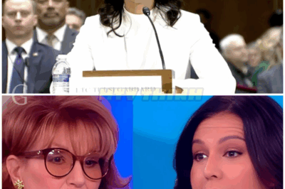 🚨 BREAKING: THE VIEW IS FINALLY CANCELLED! In a shocking turn of events, Joy Behar DISRESPECTS a 16-YEAR VETERAN LIVE ON AIR, leading to the show’s abrupt cancellation! What does this mean for the future of daytime television, and how will fans react to this controversial decision? Stay tuned for the fallout from this explosive moment!