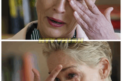 😱 Sharon Stone Is 67 and What She Looks Like Today Has Left Doctors, Fans, and Even Her Co-Stars Completely Speechless 😳 She redefined Hollywood beauty in the ’90s, but what Sharon Stone looks like at 67 is rewriting every rule of aging. Cameras caught her recently—and fans literally gasped. You won’t believe how she looks now👇