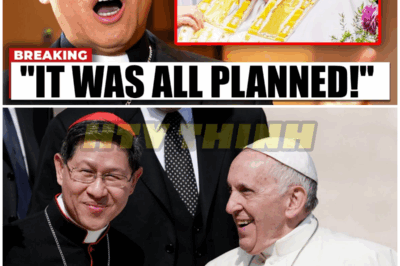 Luis Antonio Tagle BREAKS Silence After Pope Francis’ Death – HTT