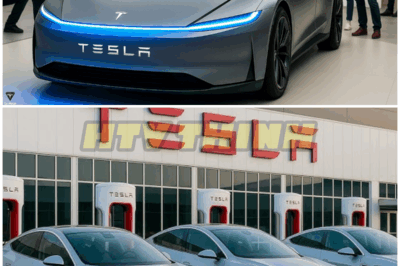 Elon Musk Reveals Tesla Model 2 Quietly Launched with Insane Specs! All Industry Shocked! – HTT