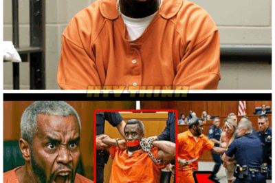 🚨 Chaos in Courtroom: Diddy Lunges at Witness Mid-Testimony, Security Forced to Act Fast Before Situation Spirals Out of Control Gasps filled the courtroom as Diddy suddenly erupted, leaping from his seat and charging the witness stand. The scene turned frantic as security tackled him just inches away from a shocking confrontation👇