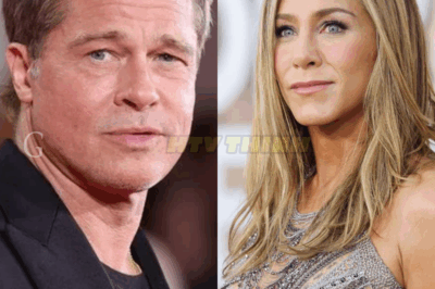 Brad Pitt baffles
