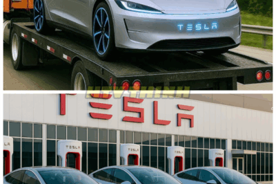 ⚡ NEW Tesla Model 2’s $2500 Battery REVEALED – Elon Musk Says It Still Delivers 300 Miles Per Charge! 🔋 In a stunning breakthrough, Tesla just unveiled a revolutionary battery that costs only $2500 but still powers the upcoming Model 2 for a full 300 miles — and Musk says this is just the beginning of mass EV adoption. 👇