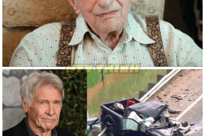 🕯️ 7 Famous Celebrities Who Tragically Passed Away Today—The Names on This List Will Leave You Heartbroken and Speechless 🕯️ Fans across the globe are mourning as seven beloved stars have left us today—some were battling secret illnesses, others died unexpectedly, and the list is truly shocking 👇
