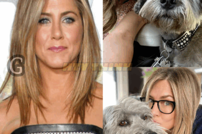 Jennifer Aniston just shared a heartfelt message about her dogs that’s bringing everyone to tears. What secret lies behind it? Intense reactions and rising tension—you can’t miss this emotional story!