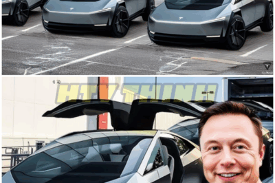 It Happened! Elon Musk Finally Released 3 TESLA New-Models! Ready for Launch in 2025! – HTT