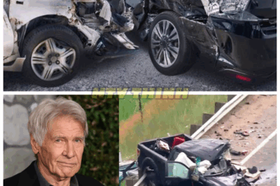 🕯️ Hollywood in Mourning: 7 Famous Stars Who Died Today Leave the World in Tears — What Happened to Each Will Shock You 😱 From screen legends to beloved TV personalities, the deaths announced today have stunned millions. Here’s what we know about the heartbreaking final moments👇