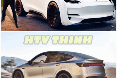 What Expect from Tesla Model Y 2024 Juniper: Elon Musk’s Exclusive Look Inside Design Revolution – HTT