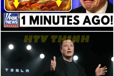 Elon Musk’s Worst Nightmare: Tesla’s Global Collapse Amid EU & Canada Backlash! – HTT