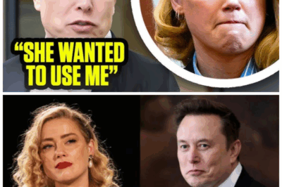 Musk BREAKS SILENCE on Amber Heard: Confessions, Affairs, and a Harley Quinn Clue?!