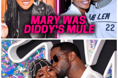 Misa Hylton EXPOSES Mary J. Blige: “You KNEW What Diddy Did!”—30 Years of Secrets COLLAPSE