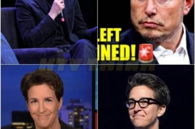 Rachel Maddow SOUNDS ALARM As Musk’s DOGE Resorts To GUNS🚨