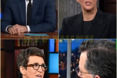 We’re Not Going To Be The Generation That Loses American Democracy – Rachel Maddow