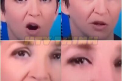 Rachel Maddow crying on air after President Trump was cleared from the two year long so-called “Russia investigation”.