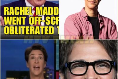 🚨TRUMP CRUSHED By Maddow In BRUTAL First 100 Days Review!