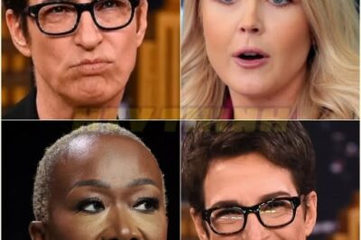Secret Recording Shocks Maddow—Leavitt’s Bombshell Leaves Her Speechless