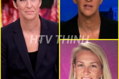 The life of Rachel Maddow: How a Rhodes scholar and AIDS activist became America’s most unlikely cable television host