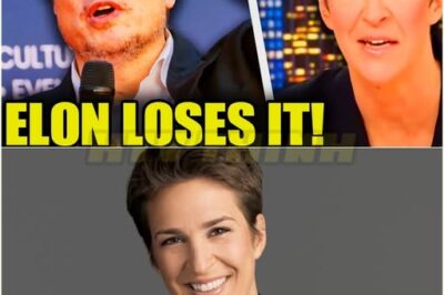 Elon Musk RAGES After Maddow GOES PUBLIC With THIS!