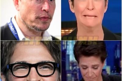 Rachel Maddow Hits Elon Right Where It Hurts… Bruises His Ego