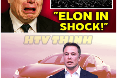 Elon Musk Completely Loses It After Toyota ANNOUNCED A New Car BETTER Than Tesla! – HTT
