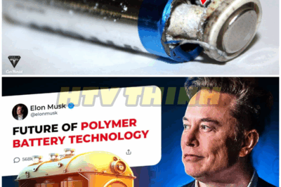 Elon Musk Revealed A New INSANE LMFP Battery Tech 1,000 km/charge! – HTT