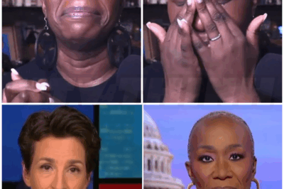♌ – Why Did MSNBC Cancel Joy Reid?