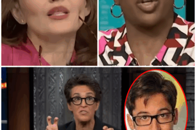 ♌ – Savage joke on Rachel Maddow