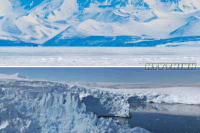Antarctica’s Ice Is Growing Again—But Scientists Say It’s Not the Comeback Climate Skeptics Think It Is
