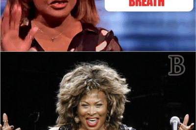 😤 Tina Turner’s PRIVATE List of 6 Musicians She Couldn’t STAND Just Leaked! You Won’t Believe Who’s #1! 🔥