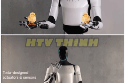 2024 “Next Gen II” Tesla Optimus: Unveiled All NEW Specs, Challenger – Boston Dynamics Atlas (MIX) – HTT