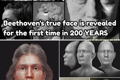 Unveiling Beethoven’s true face after 200 years: groundbreaking facial reconstruction reveals the legendary composer’s hidden secrets