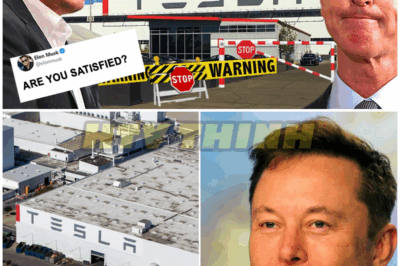 Elon Musk Revealed Tesla Will Close the Factory in California, Moving All to Texas! – HTT