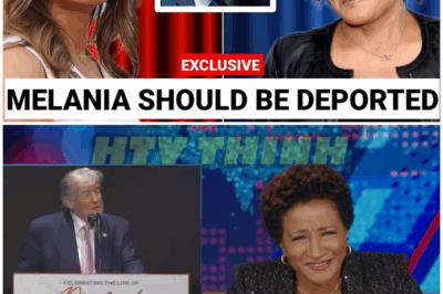 2 Mins Ago Wanda Sykes Hilarious Trump ROAST STORMS the internet – HTT