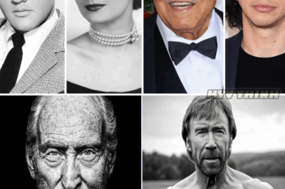 Unmasking the Legends: The 10 Toughest Actors Who Redefined Grit in Hollywood