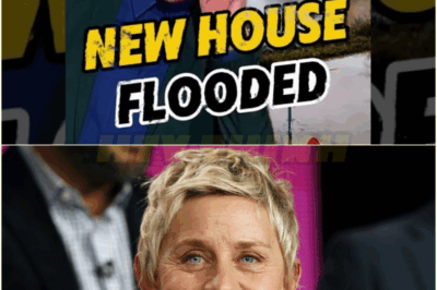 A Wet Start to a New Life: Ellen’s UK Mansion Flooded…