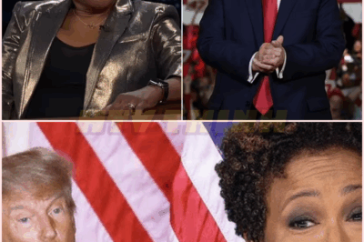 Wanda Sykes on Trump’s election win.#celebrity#interview#short#Wanda Sykes#Trump