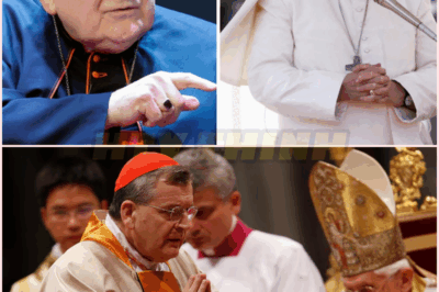 The Untold Truth: Cardinal Raymond Burke’s Jaw-Dropping Confession That Has Fans Left Speechless After Pope Francis Dies