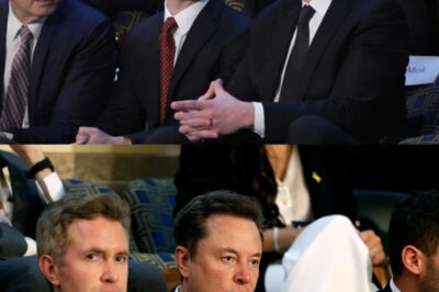 War of the Egos: Elon Musk Drops $790 Million to Seize ABC, Immediately Axes ‘The View’ After Alec Baldwin Calls Him a ‘Scumbag’ On-Air