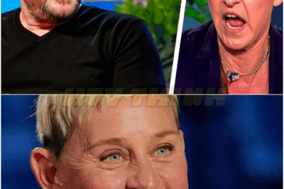 Comedians Who Humiliated Ellen Degeneres On Her Own Show