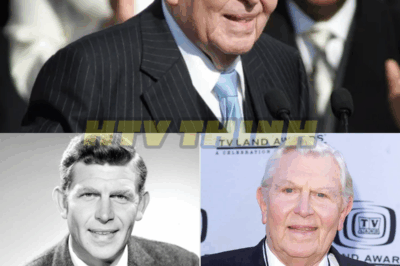 Andy Griffith Confessed The One Mayberry Character He Truly Hated