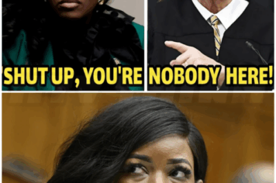 🌈 –  Jasmine Crockett in Court