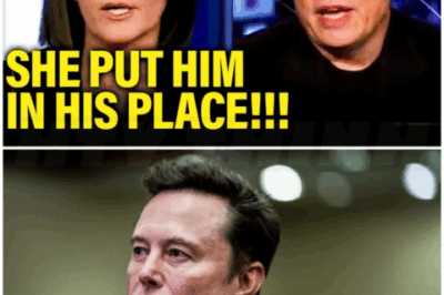 🌈 – Elon CRASHES AND BURNS during LIVE Fox Interview