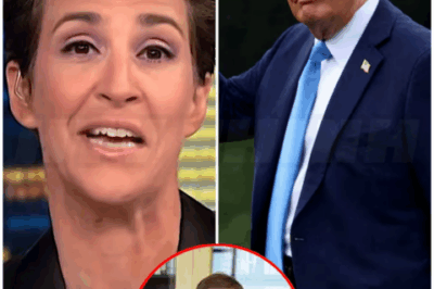 🌈 – Rachel Maddow Accused Trump for Betrayed The Man Who Saved His Life