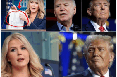 🌈 – Karoline Leavitt Exposes Biden Administrations FAILURES! ”WHY WOULD BIDEN DO THIS ?”