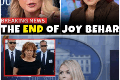 🌈 – Shocking Twist Joy Behar Detained in $250M Lawsuit Attempt – Karoline Leavitt Speaks Out!