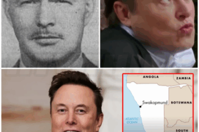 🌈 – Elon Musk’s Family History in South Africa Reveals Ties to Apartheid & Neo-Nazi Movements