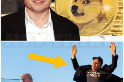 🌈 – Elon Musk STEPPING DOWN from DOGE