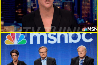 Rachel Maddow is caught in the middle of a storm as MSNBC’s new leadership shakes the network to its core