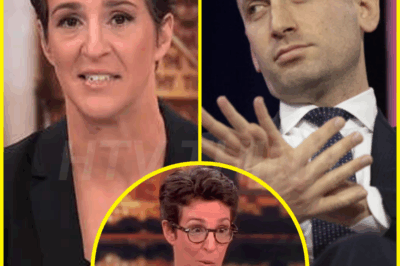 Rachel Maddow PUBLICLY HUMILIATES Stephen Miller After Wife’s Scandal ERUPTS